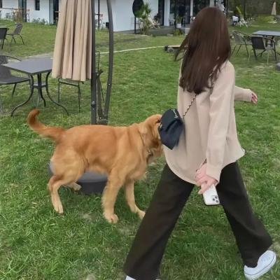 你真的太棒了 笑出腹肌版
